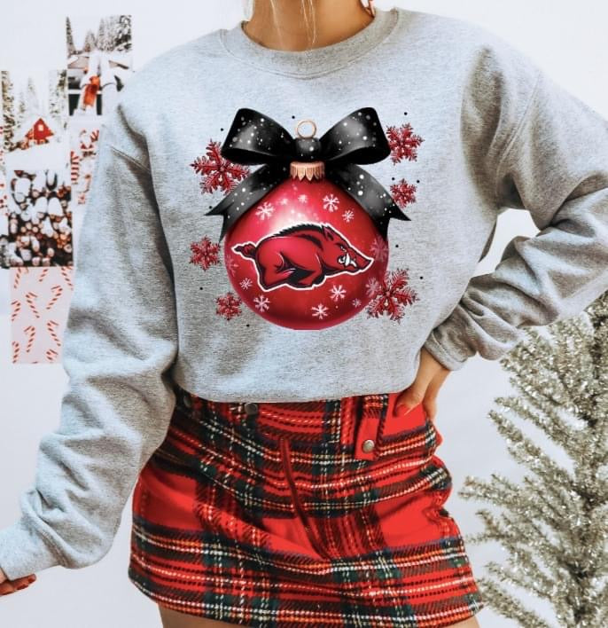 College Ornaments tee/sweatshirt