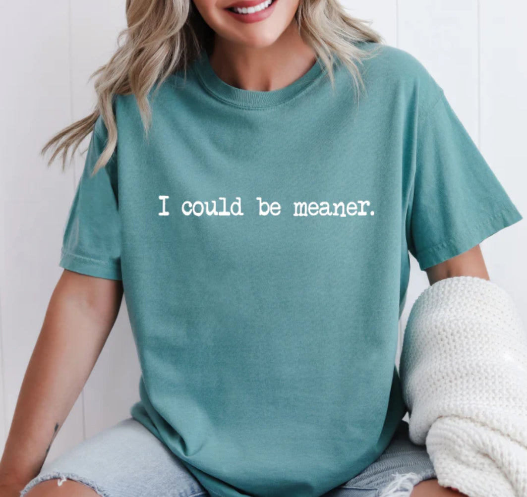 I could be meaner Tee/Sweatshirt