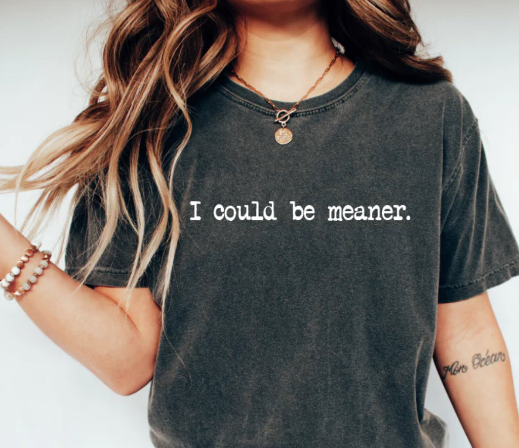 I could be meaner Tee/Sweatshirt