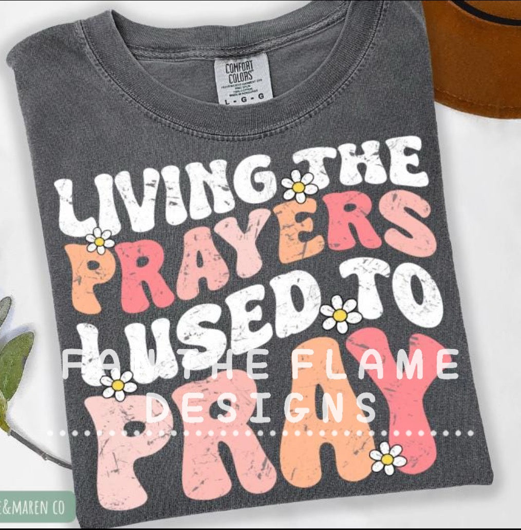 Living the prayers I used to pray Tee/Sweatshirt