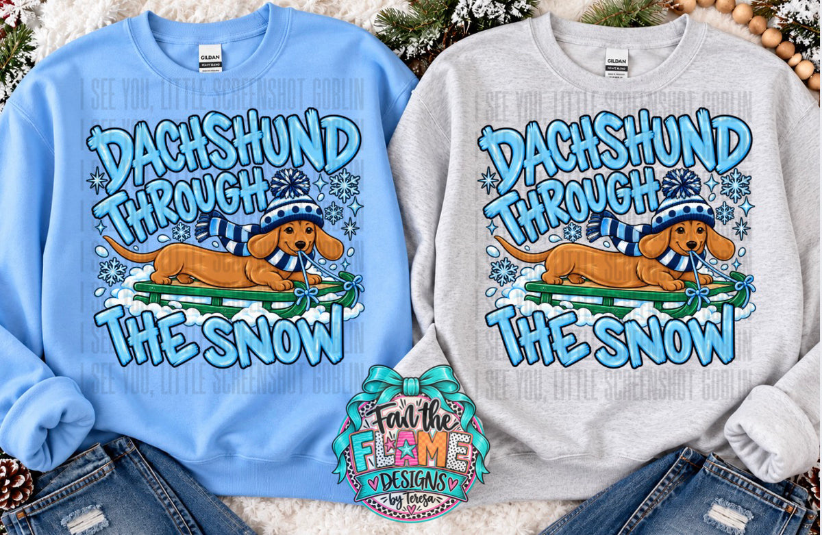 Dachshund through the snow - boy version